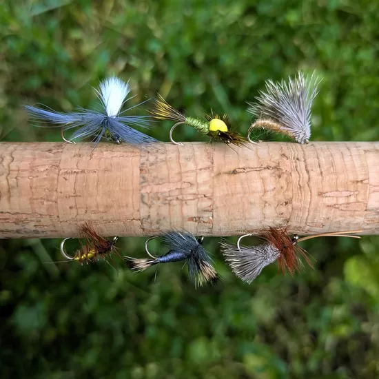 Darts DRAGONFLIES SAUSĀS MUŠAS